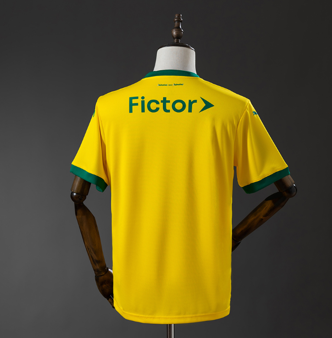 Camisola Alternativa Palmeiras 25/26