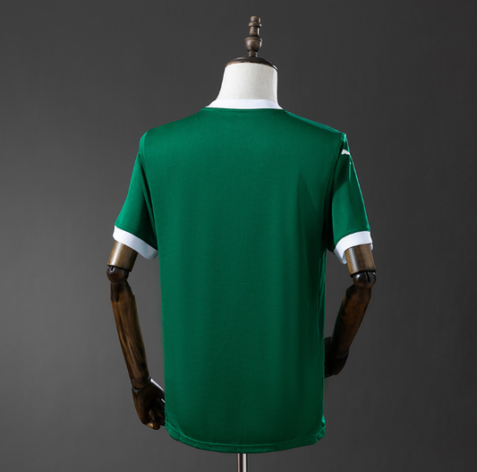Camisola Principal Palmeiras 25/26