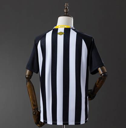 Camisola Alternativa Santos 25/26